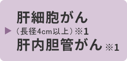 肝細胞がん(長径4cm以上)肝内胆管がん