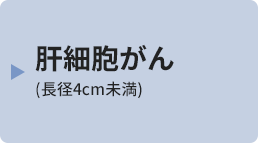 肝細胞がん(長径4cm未満)