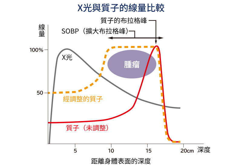 相対線量と体内深さのグラフ
